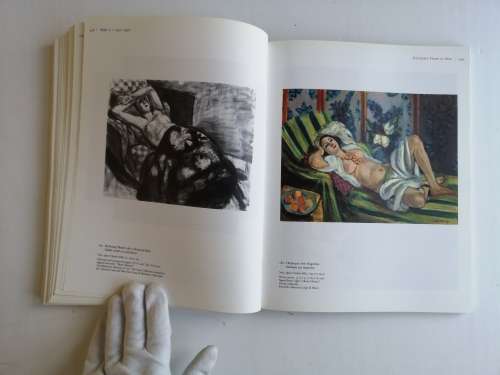 Henri Matisse: A Retrospective (MOMA)