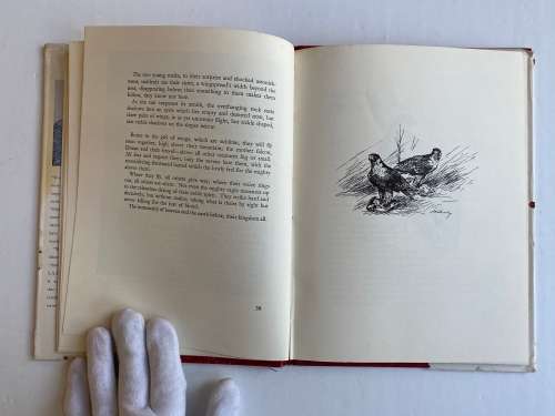 Wings of the Wild by H. von Michaelis