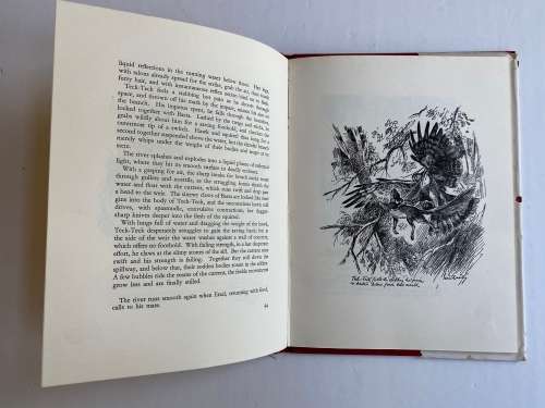 Wings of the Wild by H. von Michaelis