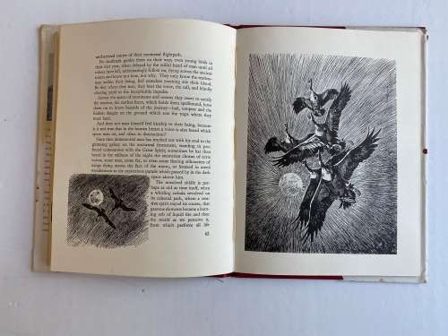 Wings of the Wild by H. von Michaelis