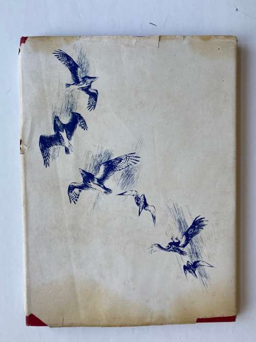 Wings of the Wild by H. von Michaelis