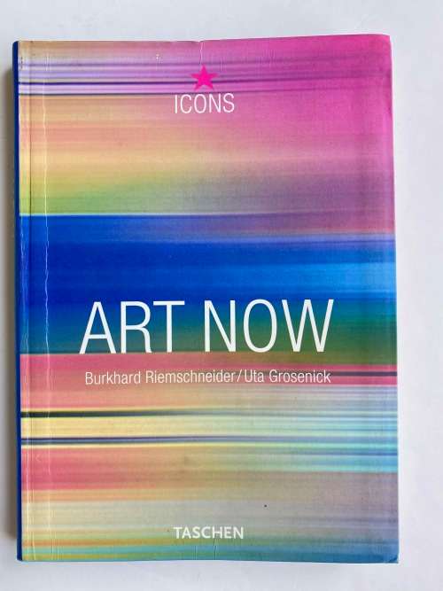Art Now (TASCHEN Icons Series)
