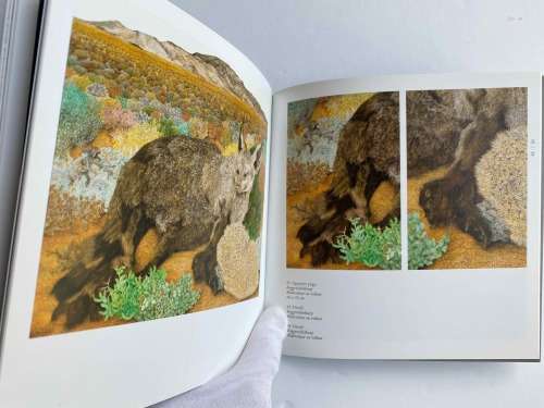 Willem Strydom at the Rupert Museum exhibition catalogue