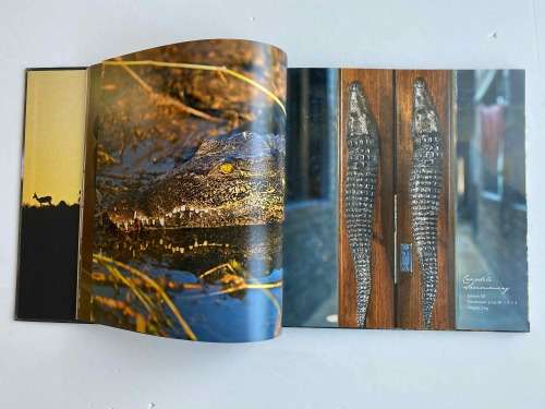 Bronze and Fire: The Art of Donald Greig
