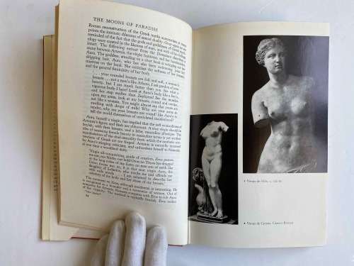 The Moons of Paradise: Some Reflections on the Appearance of the Female Breast in Art