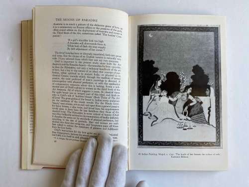 The Moons of Paradise: Some Reflections on the Appearance of the Female Breast in Art