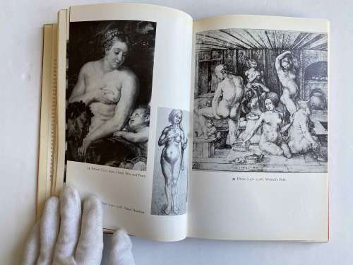 The Moons of Paradise: Some Reflections on the Appearance of the Female Breast in Art