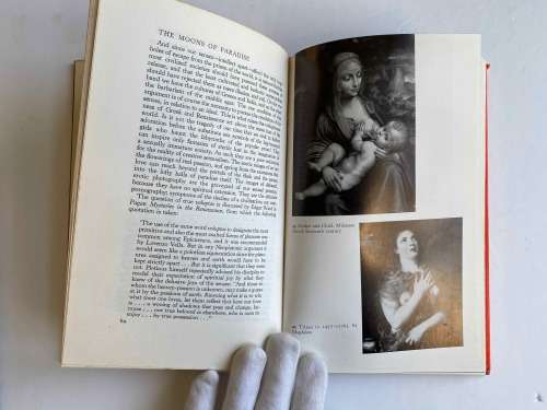 The Moons of Paradise: Some Reflections on the Appearance of the Female Breast in Art