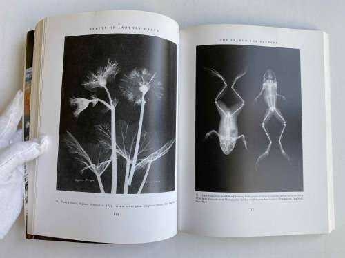 Beauty of Another Order: Photography in Science