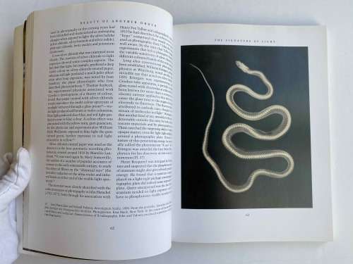 Beauty of Another Order: Photography in Science