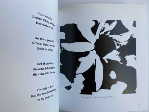 Faint traces of light by Peter Folb