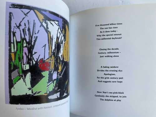 Faint traces of light by Peter Folb