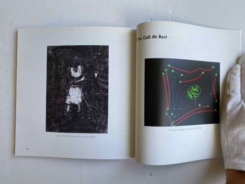 Faint traces of light by Peter Folb