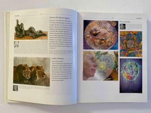 The Collectors Guide to Art and Artists in South Africa