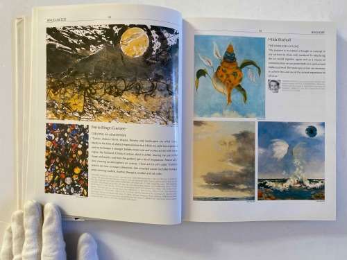 The Collectors Guide to Art and Artists in South Africa