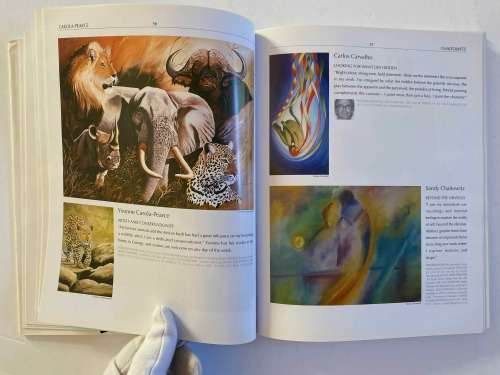 The Collectors Guide to Art and Artists in South Africa