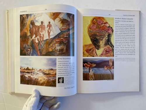 The Collectors Guide to Art and Artists in South Africa