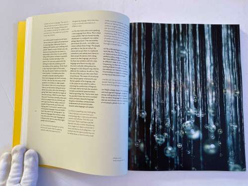 Susan Hiller by Ann Gallagher