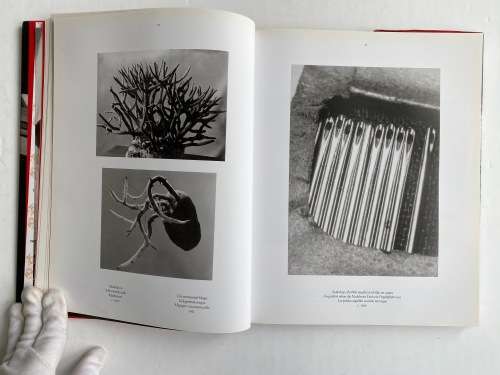 Brassai, Paris:  (Taschen 25th Anniversary Special Editions)