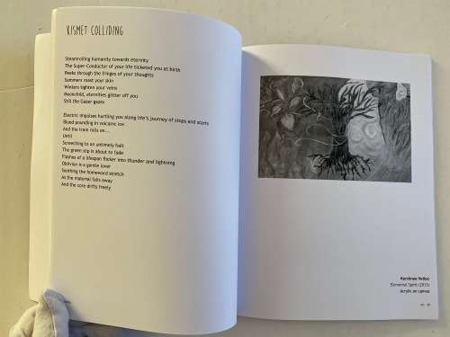 BEYOND SPICE by Zena Velloo John: Art by Jayna Mistry, Kershnee Velloo, Raeesah Mahomed et al.