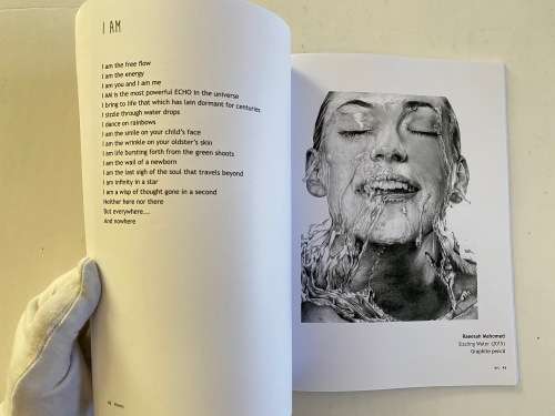 BEYOND SPICE by Zena Velloo John: Art by Jayna Mistry, Kershnee Velloo, Raeesah Mahomed et al.