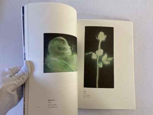 Familia Obscura - Sanell Aggenbach