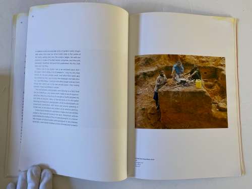 Zwelethu Mthethwa: Is it our goal ?  Photographs and paste: Circa catalogue