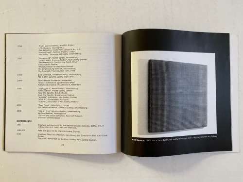 Jeremy Wafer: Survey (Sasol Art Museum) (South African Artist)