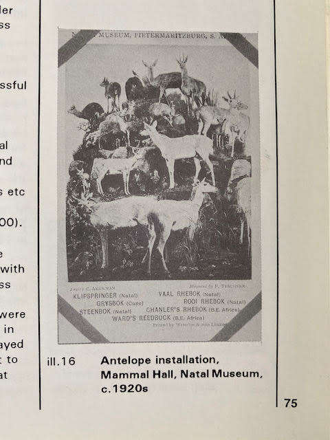 Ubumba: Aspects of Indigenous Ceramics in KwaZulu-Natal