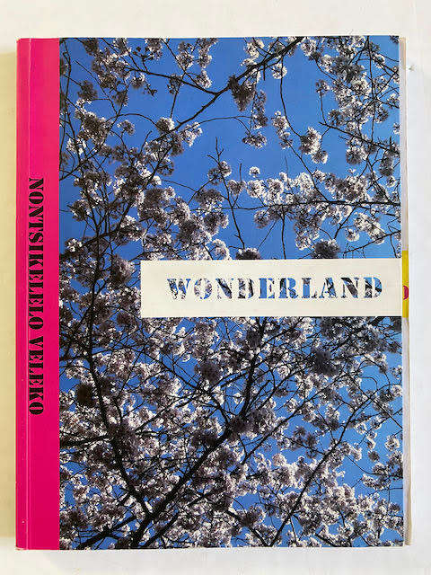 Nontsikelelo Veleko: Wonderland:  Standard Bank Young Artist 2008 Visual Arts