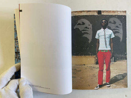 Nontsikelelo Veleko: Wonderland:  Standard Bank Young Artist 2008 Visual Arts