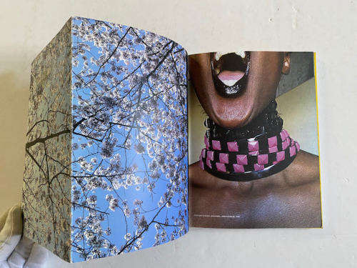 Nontsikelelo Veleko: Wonderland:  Standard Bank Young Artist 2008 Visual Arts