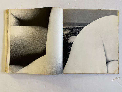 Bill Brandt: Perspective of Nudes (Damaged Cover)