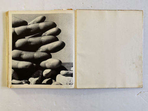 Bill Brandt: Perspective of Nudes (Damaged Cover)