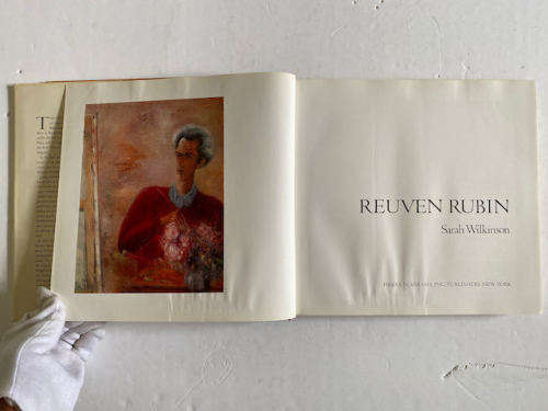 Reuven Rubin by Sarah Wilkinson (Author)