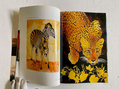 Mike Fitzpatrick: A World Of Light And Colour