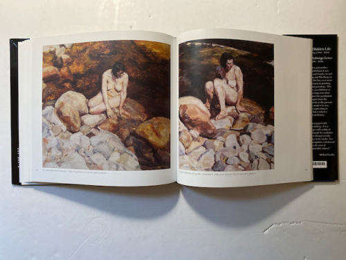 Clare Menck: hidden life / verboge lewe (South African Artist)