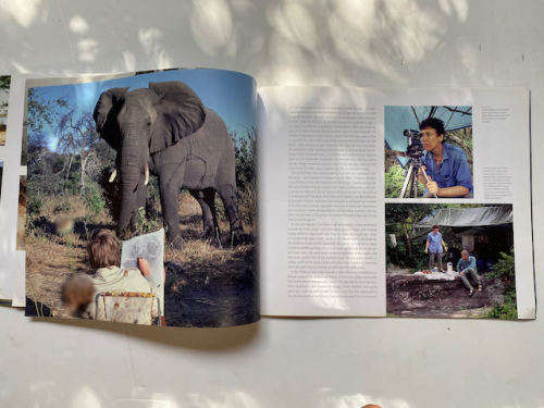 African Jouney - Paul Augustinus