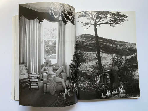 If We Shadows by David Bailey