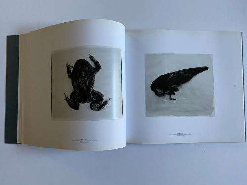 665 Making Prints with Lights By: Stephen Inggs