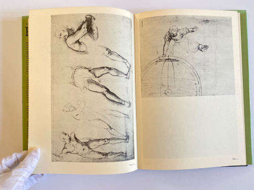 The Drawings of Raphael by Richard Cocke