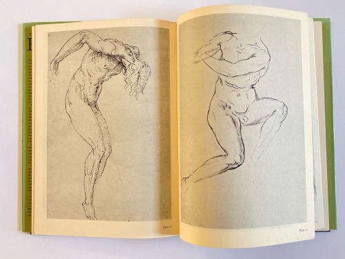 The Drawings of Raphael by Richard Cocke