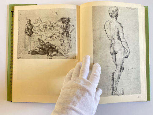 The Drawings of Raphael by Richard Cocke