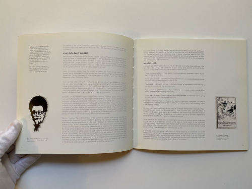 Brett Murray: White Like Me (Standard Bank Young Artist 2002)