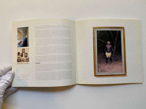 Brett Murray: White Like Me (Standard Bank Young Artist 2002)
