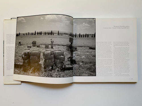 Jurgen Schadeberg: Voices From The Land
