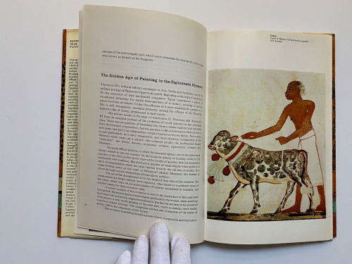 Egyptian and Near Eastern Painting by Robert Boulanger (Author)