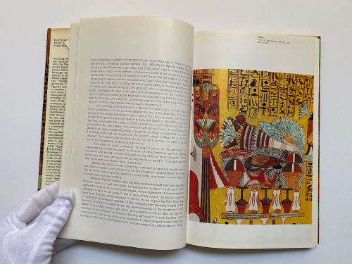 Egyptian and Near Eastern Painting by Robert Boulanger (Author)