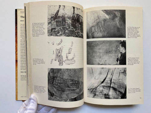 The Cave Artists (Ancient Peoples and Places) by Ann Sieveking (Author)