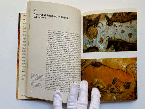 The Cave Artists (Ancient Peoples and Places) by Ann Sieveking (Author)